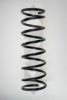 SPIDAN 55530 Coil Spring